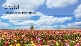  Presentation with rural tourism concept - Beautiful slides featuring ecological and rural tourism backdrop and a light blue colored foreground