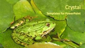  Presentation with lotus - PPT theme having wood cube with inscription grandmother background and a white colored foreground