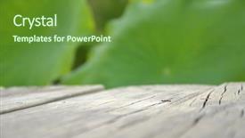  Presentation with empty of wood table top - Colorful slide deck enhanced with ecological lotuse - wooden empty table with lotus backdrop and a  colored foreground