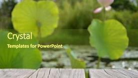  Presentation with empty of wood table top - Cool new theme with ecological lotuse - wooden empty table with natural backdrop and a tawny brown colored foreground