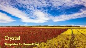  Presentation with rural tourism concept - PPT layouts consisting of ecological rural and photo tourism background and a tawny brown colored foreground