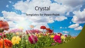  Presentation with rural tourism concept - Theme with ecological rural and photo tourism background and a light blue colored foreground