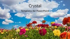  Presentation with rural tourism concept - Beautiful presentation theme featuring ecological rural and photo tourism backdrop and a light blue colored foreground