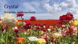  Presentation with rural tourism concept - Presentation theme consisting of ecological rural and photo tourism background and a light blue colored foreground