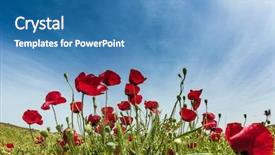  Presentation with rural tourism - PPT layouts enhanced with ecology - concept of ecological and rural background and a teal colored foreground