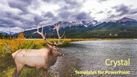  Presentation with wine tourism - Amazing PPT theme having ecology - gorgeous deer with horns grazing backdrop and a tawny brown colored foreground