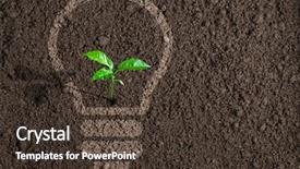  Presentation with light green - Slides having ecology - green plant growing in light background and a tawny brown colored foreground