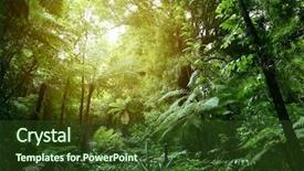  Presentation with ecology - Amazing slide set having ecology - lush green foliage in tropical backdrop and a tawny brown colored foreground
