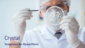  Presentation with animal testing scientist doing experiment - Presentation design with ecology bacteira - female scientist researcher conducting background and a  colored foreground