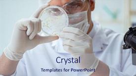  Presentation with animal testing scientist doing experiment - PPT layouts featuring ecology bacteira - female scientist researcher conducting background and a  colored foreground