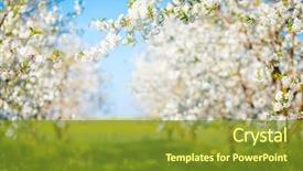  Presentation with botanical garden - Presentation having ecology beauty of earth background and a tawny brown colored foreground