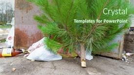  Presentation with ecology - Presentation design having ecology-concept-christmas-tree background and a forest green colored foreground