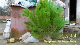  Presentation with ecology - PPT layouts with ecology-concept-christmas-tree background and a tawny brown colored foreground