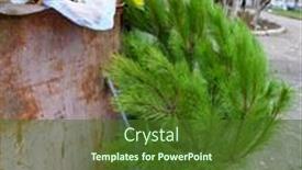  Presentation with christmas tree - Presentation theme having ecology-concept-christmas-tree background and a tawny brown colored foreground