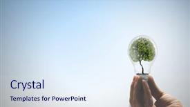  Presentation with green tree - Colorful presentation design enhanced with ecology concept with green tree backdrop and a  colored foreground