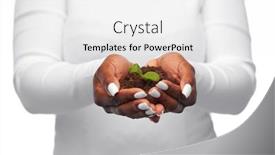  Presentation with plant ecology - Theme with ecology-environment-and-nature-concept background and a white colored foreground