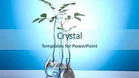  Presentation with plant tissue culture laboratory - Slides enhanced with ecology laboratory experiment in plants background and a cool aqua colored foreground