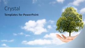  Presentation with ecology - Theme enhanced with ecology-nature-and-environment-concept background and a teal colored foreground