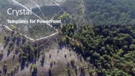  Presentation with deforestation - 