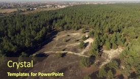  Presentation with deforestation - 