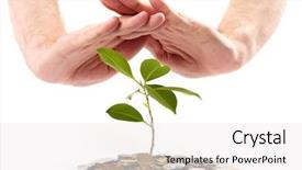  Presentation with sprout - PPT layouts enhanced with economic botany - coins sprout hands background and a  colored foreground