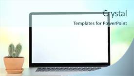 Presentation with flowers on white wooden - Presentation having economic botany - laptop and cactus in flowerpot background and a cool aqua colored foreground