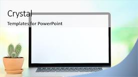  Presentation with cactus - Amazing slide set having primates - street nature wild animals backdrop and a gray colored foreground.