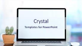  Presentation with cactus - Cool new slide set with economic botany - laptop and cactus in flowerpot backdrop and a sky blue colored foreground