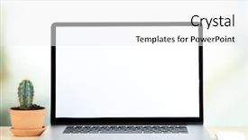  Presentation with flowers on white wooden - PPT layouts consisting of economic botany - laptop and cactus in flowerpot background and a white colored foreground