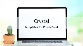  Presentation with flowers on white wooden - Slide set featuring economic botany - laptop and cactus in flowerpot background and a white colored foreground