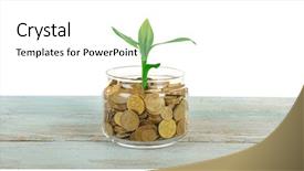  Presentation with sprout - PPT theme with economic botany - money and growing sprout background and a  colored foreground