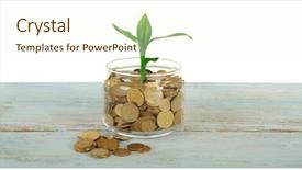  Presentation with hydroponics hydroponic vegetables growing - PPT theme featuring economic botany - money and growing sprout background and a cream colored foreground