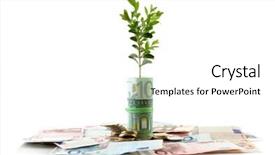  Presentation with sprout - Audience pleasing slide set consisting of economic botany - money with growing sprout isolated backdrop and a  colored foreground