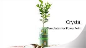  Presentation with growing micro greens isolated - Amazing presentation design having economic botany - money with growing sprout isolated backdrop and a white colored foreground