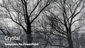  Presentation with autumn - Audience pleasing PPT theme consisting of economic botany - treetops in autumn backdrop and a  colored foreground