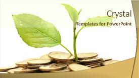  Presentation with economic development - Audience pleasing presentation consisting of economic development - coins and plant isolated backdrop and a cream colored foreground