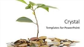  Presentation with economic development - Amazing presentation design having economic development - coins sprout backdrop and a white colored foreground