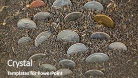  Presentation with economic development - Colorful PPT theme enhanced with economic development agricalture - different us coins american money backdrop and a dark gray colored foreground