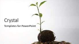  Presentation with tree of life growing - Cool new PPT theme with economic development agricalture - investment grow like a tree backdrop and a white colored foreground