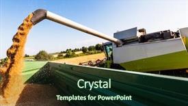  Presentation with economics - Audience pleasing slide deck consisting of economics crop - cornfield with wheat at harvest backdrop and a wine colored foreground