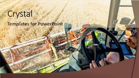  Presentation with harvest is plentious - Audience pleasing PPT theme consisting of economics crop - cornfield with wheat at harvest backdrop and a  colored foreground