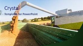  Presentation with harvest - Colorful PPT layouts enhanced with economics crop - cornfield with wheat at harvest backdrop and a  colored foreground