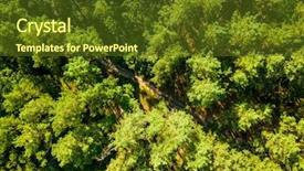  Presentation with summer trees - PPT theme consisting of ecosystem resources - forest trees aerial view background and a tawny brown colored foreground