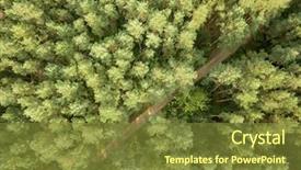  Presentation with natural resources - Cool new PPT theme with ecosystem resources - top view on a sunny backdrop and a tawny brown colored foreground