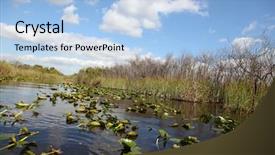 Presentation with national - Slides consisting of airboat - ecosystem vegetation of the everglades background and a light blue colored foreground