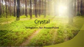  Presentation with fire emergency forest - Amazing slide deck having ecosysteme toundra - first sunrays in pine forest backdrop and a yellow colored foreground