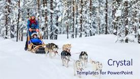  Presentation with dogs - Cool new PPT layouts with ecotourism - husky dogs are pulling sledge backdrop and a sky blue colored foreground