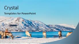  Presentation with winter family - Beautiful PPT layouts featuring ecotourism - panorama family of mother backdrop and a light blue colored foreground
