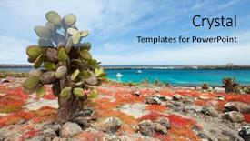 Presentation with island - PPT theme having beautiful landscape of galapagos south background and a light blue colored foreground