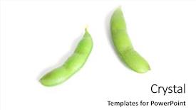  Presentation with beans - Amazing presentation theme having edamame beans isolated on white backdrop and a white colored foreground